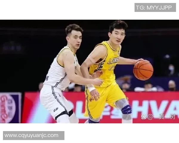 CBA精彩对决广东队与辽宁队巅峰对决集锦回顾