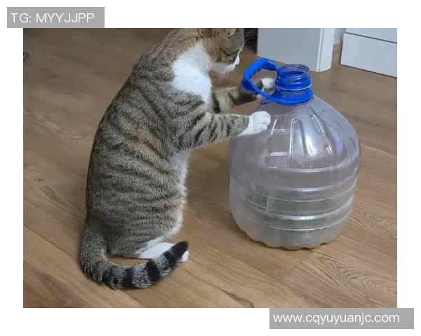 足球场上的王八传奇揭秘那些像王八一样顽强拼搏的足球明星们